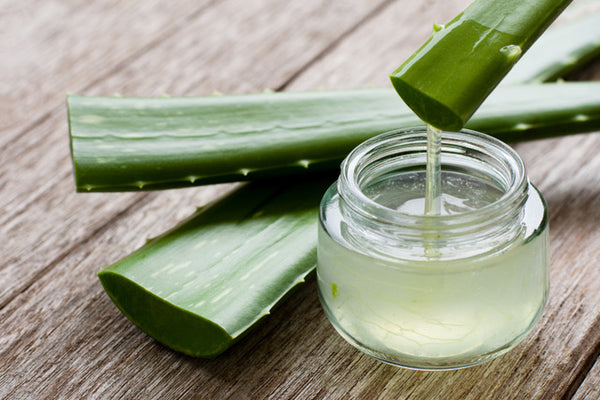 Aloe Vera Leaf Extract